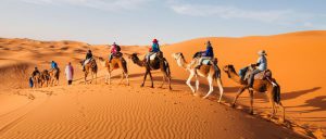 Camel trekking morocco