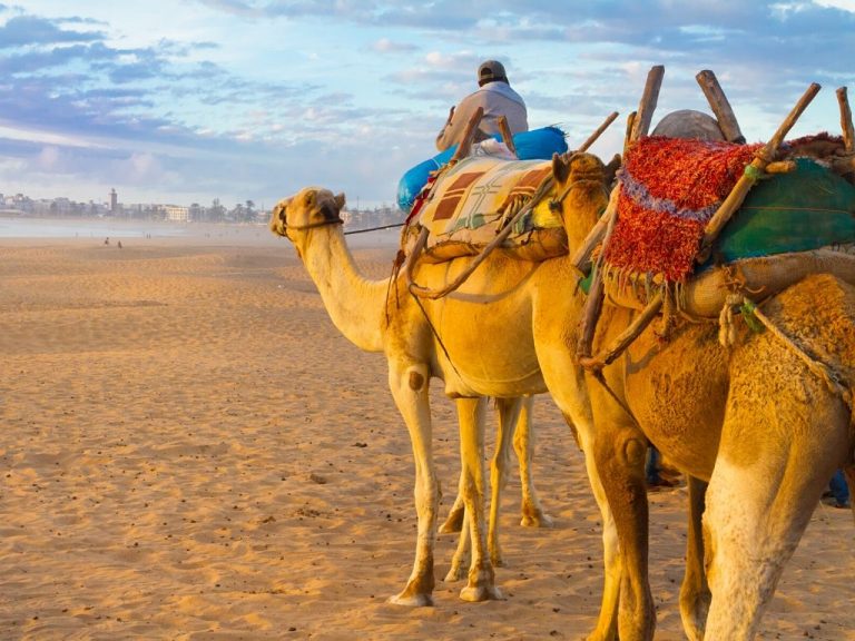 The Best Beaches in Morocco - Holiday Morocco Tours